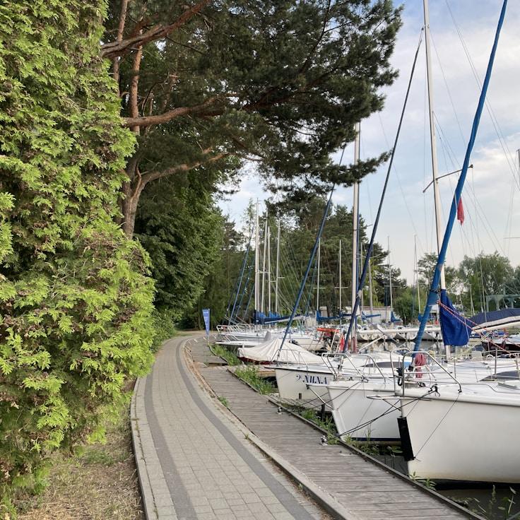 Yachting experience snapshot